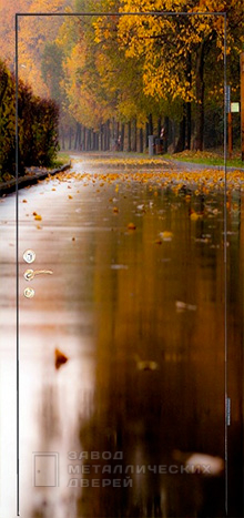 Фото «Дверь с фотопечатью №5» в Дубне